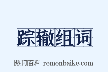 踪辙组词是什么意思的图片